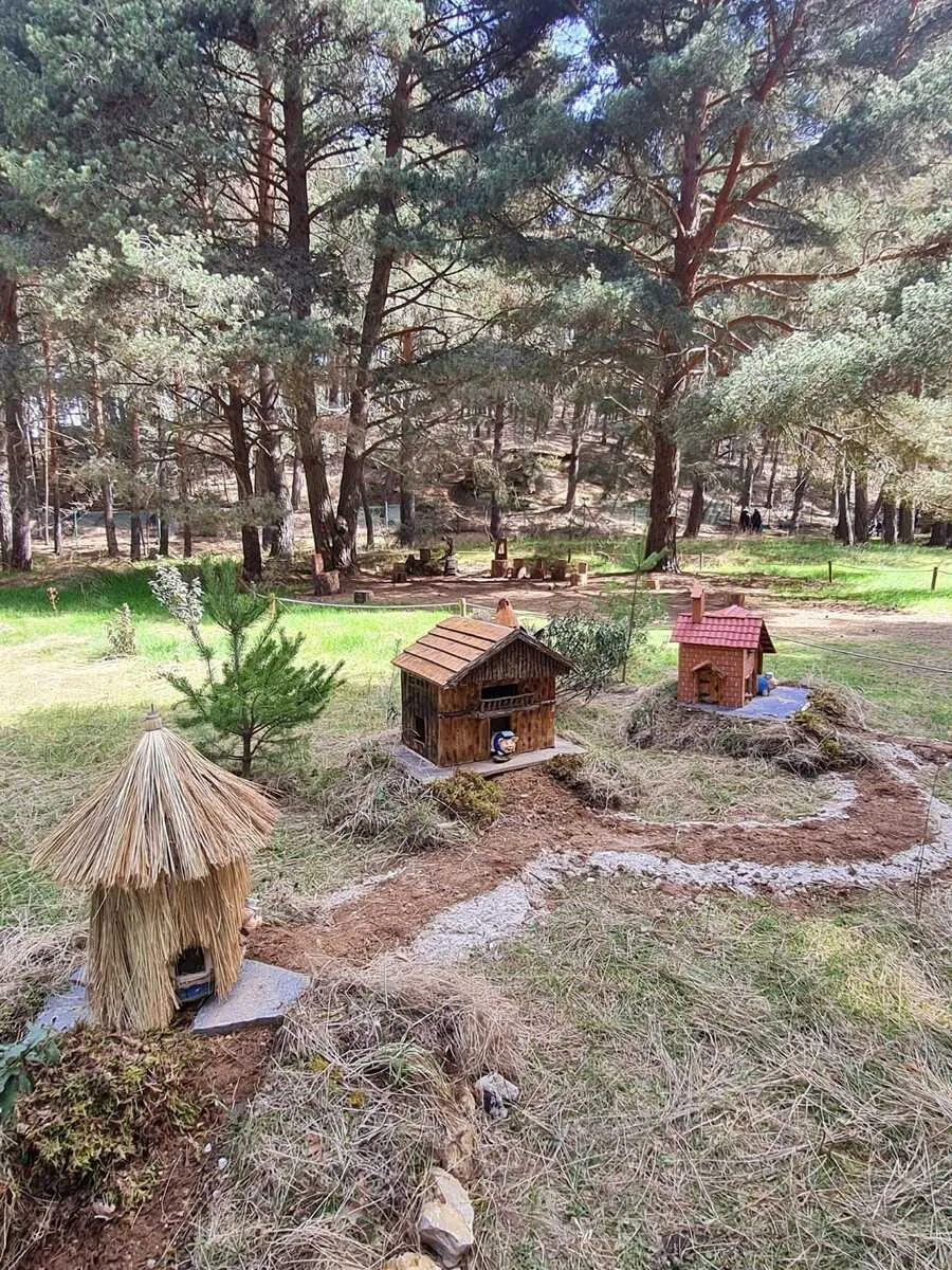 Paraje Bosque Mágico